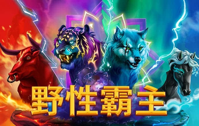 星空体育下载官网